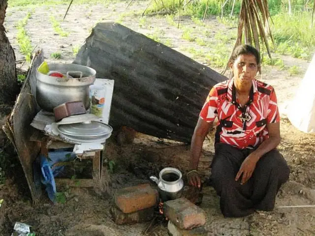 අලි මිනිස් ගැටුම
