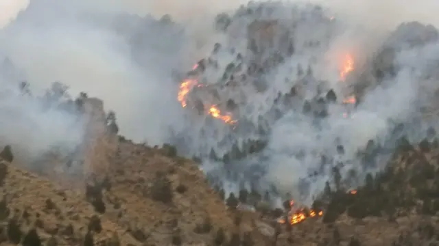 شیرانی میں چلغوزے کے جنگل میں آگ