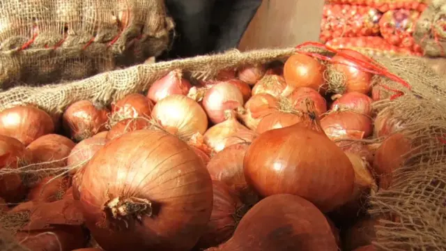 प्याज, नासिक