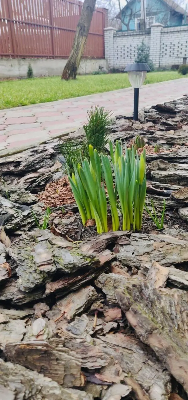 оксана тороп