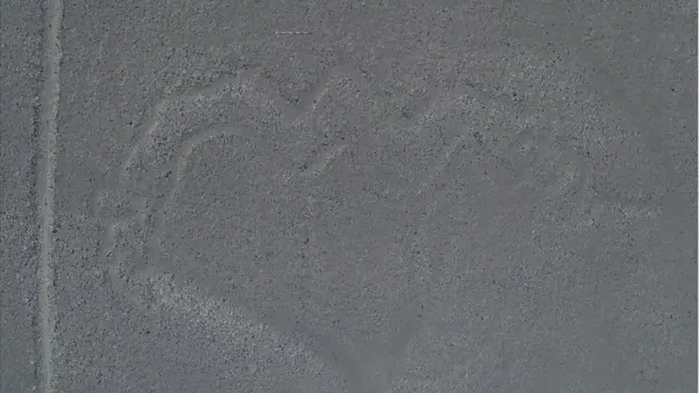 linhas de Nazca