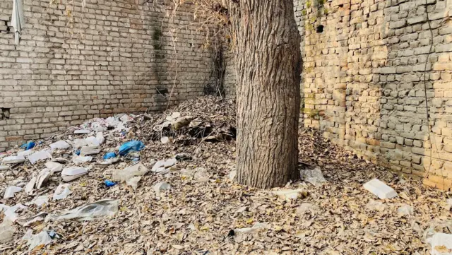 4. دیوار کے اس پار مقبرہ پری چہرہ کے احاطے کا اندرونی منظر