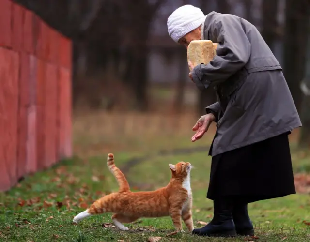 Пожилая женщина с котом