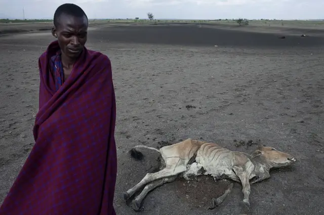 Un homme se tient à côté d'une vache morte dans le désert.