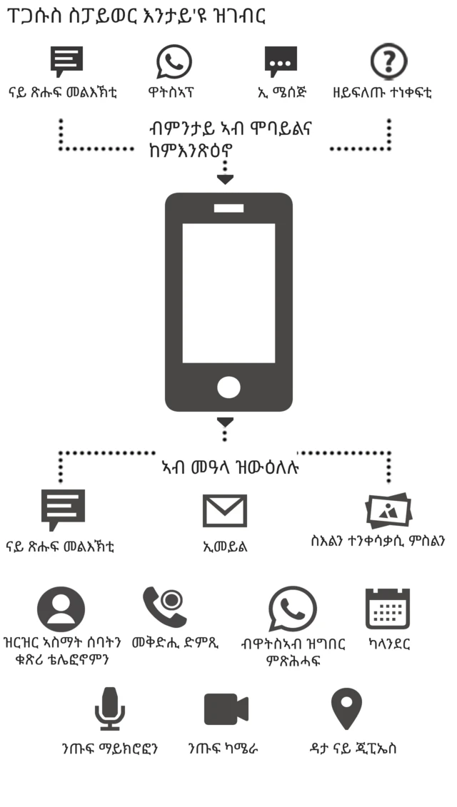 ፐጋሱስ እንታይ እዩ ዝገብር?