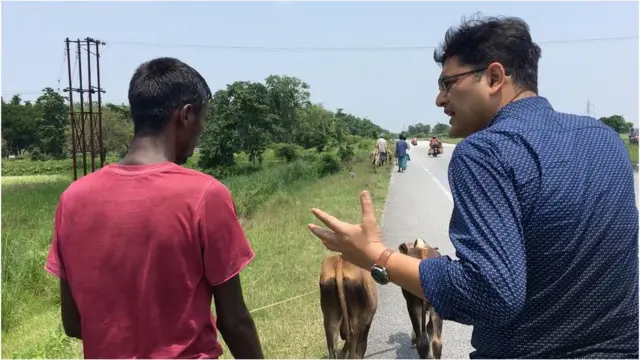 15 किलोमीटर दूर ले जाने के लिए मज़दूर 50 रुपये प्रति गाय कमाते हैं