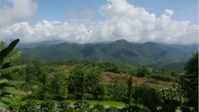 Lush, green and hilly, Wa state is about the same size as Wales