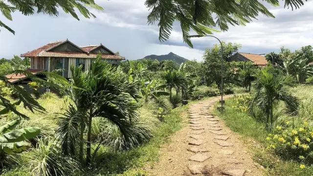 تنتج مزارع مدينة كامبوت ما يتراوح بين 70 و100 طن من الفلفل الأسود سنويا