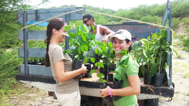 Equipo de Provita con arbolitos nativos