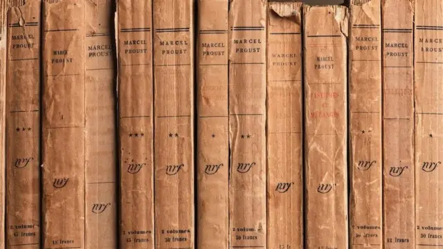 Обим романа и његова сложена структура довели су до тога да је далеко више оних који су чули о клишеима везаним за дело него оних који су га заиста прочитали