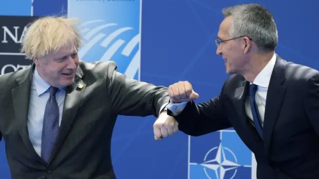 Джонсон и Столтенберг