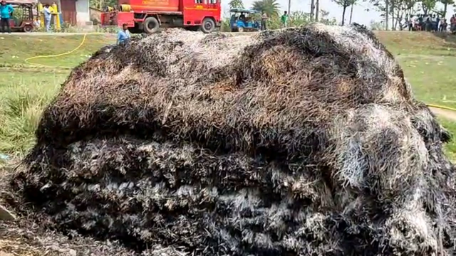 ঘটনার তদন্তে বিশেষ তদন্তকারী দল বা সিট গঠন করেছে সরকার