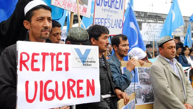 వీగర్లు