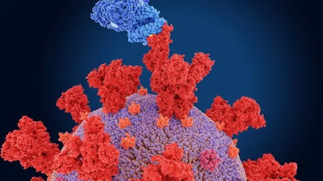 બાળકો પર કોરોનાના નવા વૅરિયન્ટનો કેટલો ખતરો?