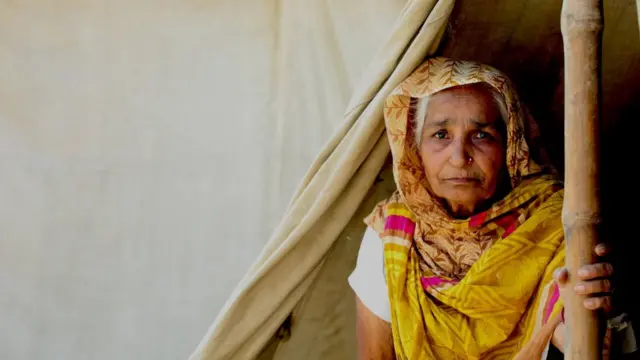 మనోరమ మిశ్రా