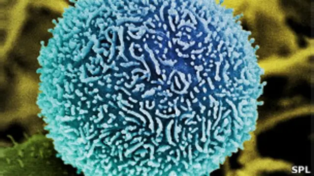 चीन, कैंसर, भारत