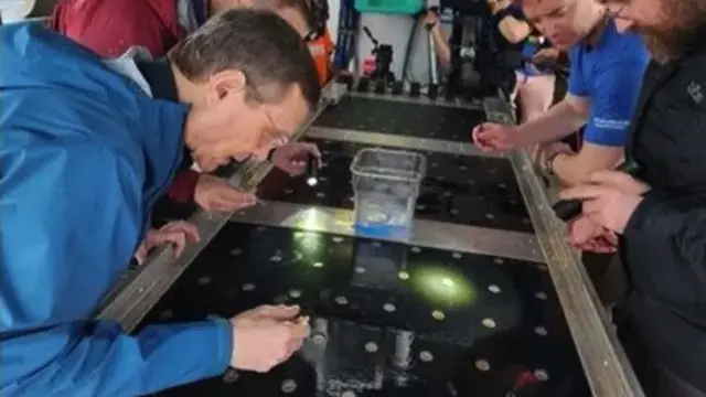 Međuzvezdana udica napravljena je tako da klizi po morskom dnu, pecajući na svom putu svaku magnetnu česticu