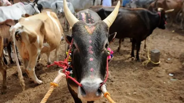 திருத்தப்படும் விதிகள்