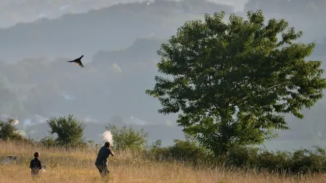 गन कल्चर