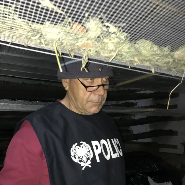 El oficial Agron Cullhaj estuvo a cargo de la incautación de marihuana en el pueblo de Rreshen.
