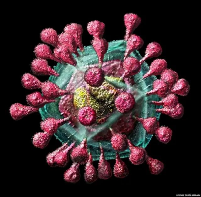 कोरोना वायरस