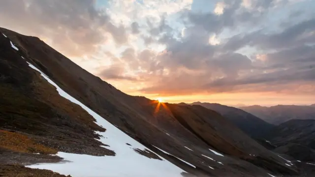 （图片来源：Vivien Cumming）