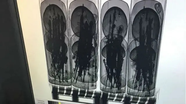 Qoryaha ayaa lagu duuduubay baco ka dibna la dhex galiyay haamo