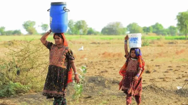 કચ્છના બન્ની વિસ્તારનું એક દૃશ્ય
