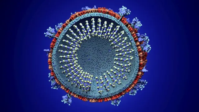 कोरोनाभाइरस