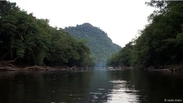 आदमखोर सांप, इंडोनेशिया, जंगल