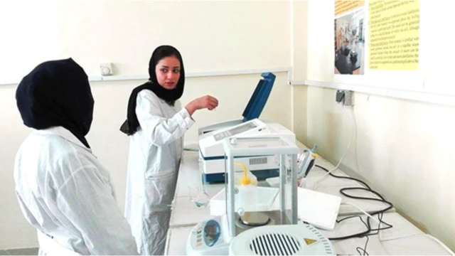 ډېرې داسې مېرمنې موږ پېژنو چې له کلونو زیار وروسته په ټولنه کې په یوه علمي کدر باندې بدلې شوي خو د کورنیو دا ډول تکراري چلند دېته اړایستلې دي چې دنده پرېږدي، په کور کېني او علمي وړتیا یې د تل لپاره د کور تناره په اور کې وسوځي.