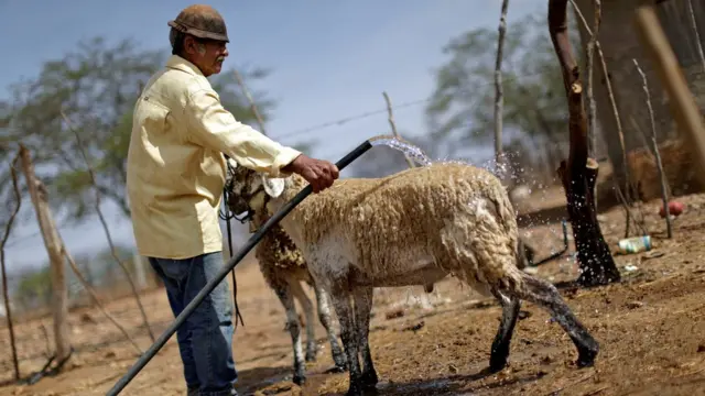 Trabalhador rural na Paraíba