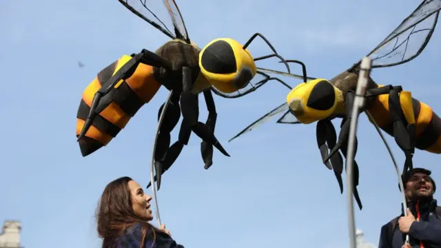 Parlamento Meydanı'na arı şeklinde dev maskotlar kondu.