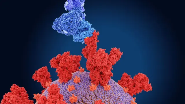 కరోనావైరస్ కొత్త వేరియంట్ ఒమిక్రాన్ భారీగా మ్యూటేషన్ చెందిందని నిపుణులు చెబుతున్నారు