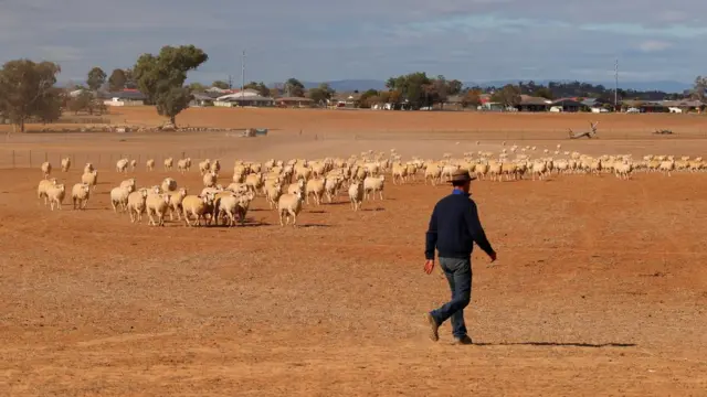 ఆస్ట్ర్రేలియా కరువు