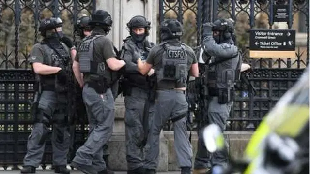 Британия полицияси