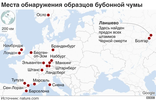 Карта обнаружения штаммов Черной смерти