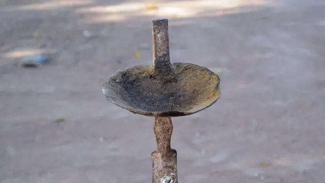 الحفاظ على الحياة البرية في مالي