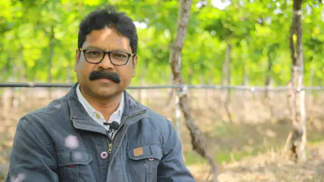 शेती