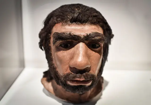 a moulding of a Neanderthal man face displayed for the Neanderthal exhibition at the Musee de l"Homme in Paris