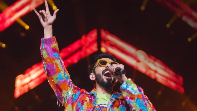 가수 겸 프로듀서 '아니루드'도 투어 중이다