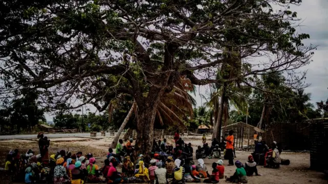 Ndị nọ n'okpuru ukwu osisi