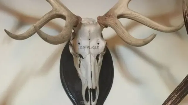 сүрөт интернеттен алынды