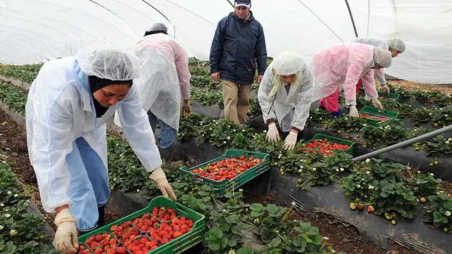 Трудові мігранти