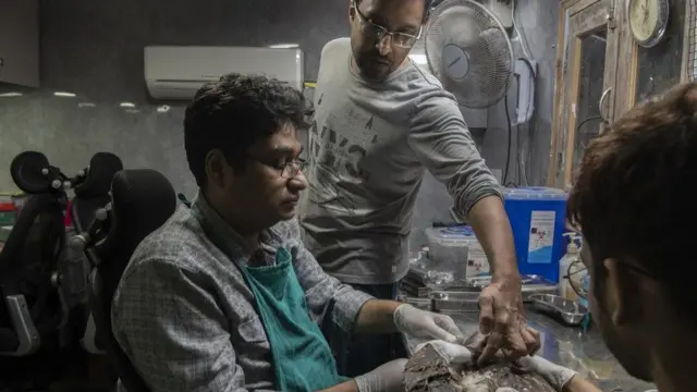 పక్షులకు చికిత్స అందిస్తున్న అన్నదమ్ములు