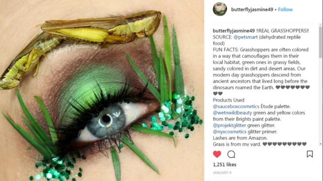 జాస్మిన్ పెట్స్‌స్మార్ట్ థీమ్ మేకప్