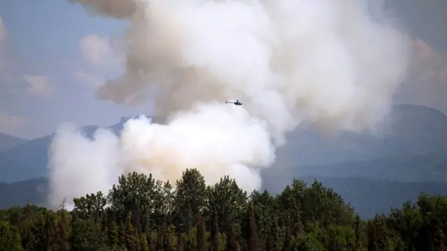 лесные пожары на аляске