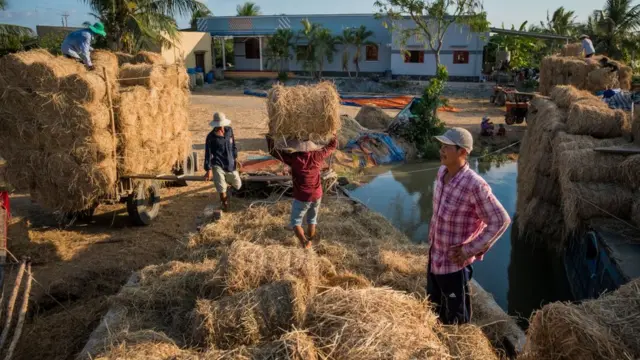 Việt Nam, Đảng Cộng sản