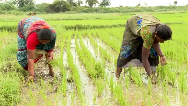 பரந்தூர் விமான நிலையம்