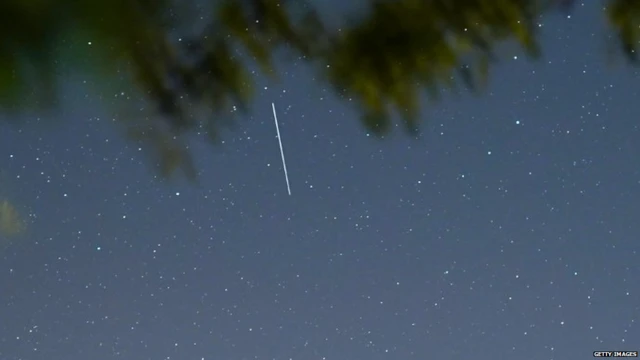 एलन मस्क